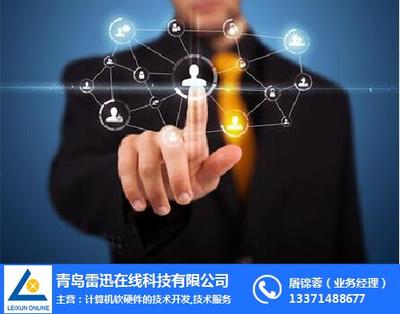 天助易站通雷迅 計算機(jī)軟硬件技術(shù)開發(fā)的在線咨詢平臺